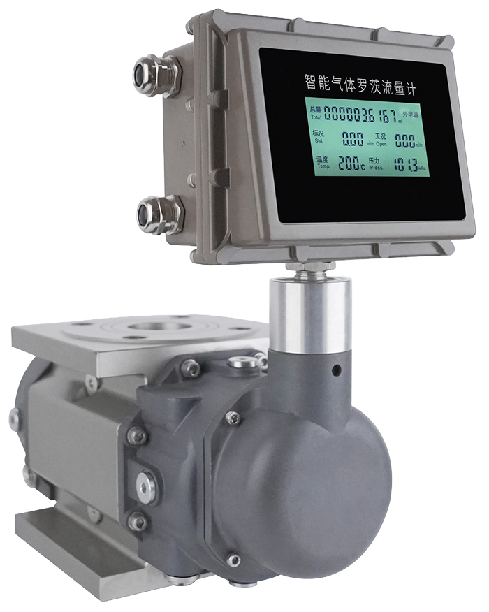 沼氣羅茨流量計(jì)產(chǎn)品圖片